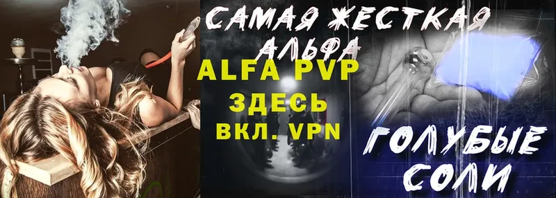 Alfa_PVP СК КРИС  ОМГ ОМГ   Адыгейск 